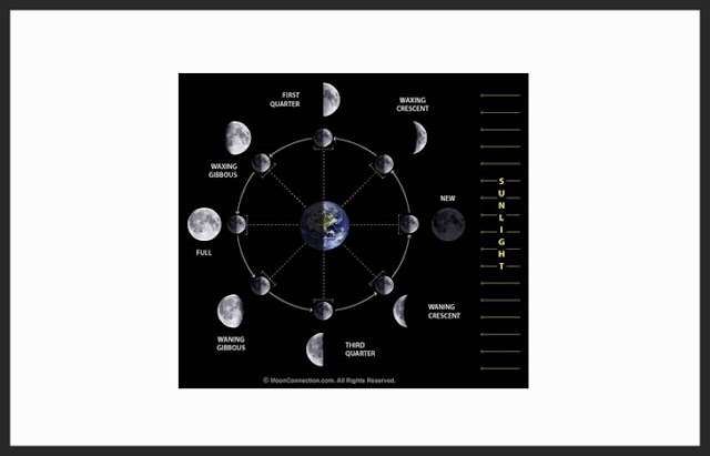  Sama hal dengan planet lain bumi juga mempunyai satelit Bulan : Pengertian, Ciri, Fase, Pembentukan, Orbit