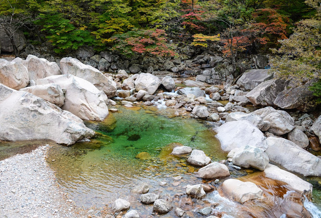 雪嶽山紅葉