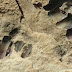 Θιβετ: Ανακάλυψαν δείγμα προϊστορικής παιδικής τέχνης σε πετρώματα 226.000 ετών