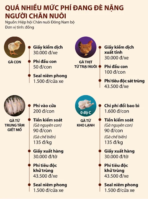 Mức phí thu cho từng hạng mục của thú y. Đồ họa: Tấn Đạt