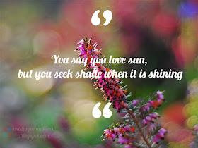 Kata bijak motivasi : You say you love sun, but you seek shade when it is shining