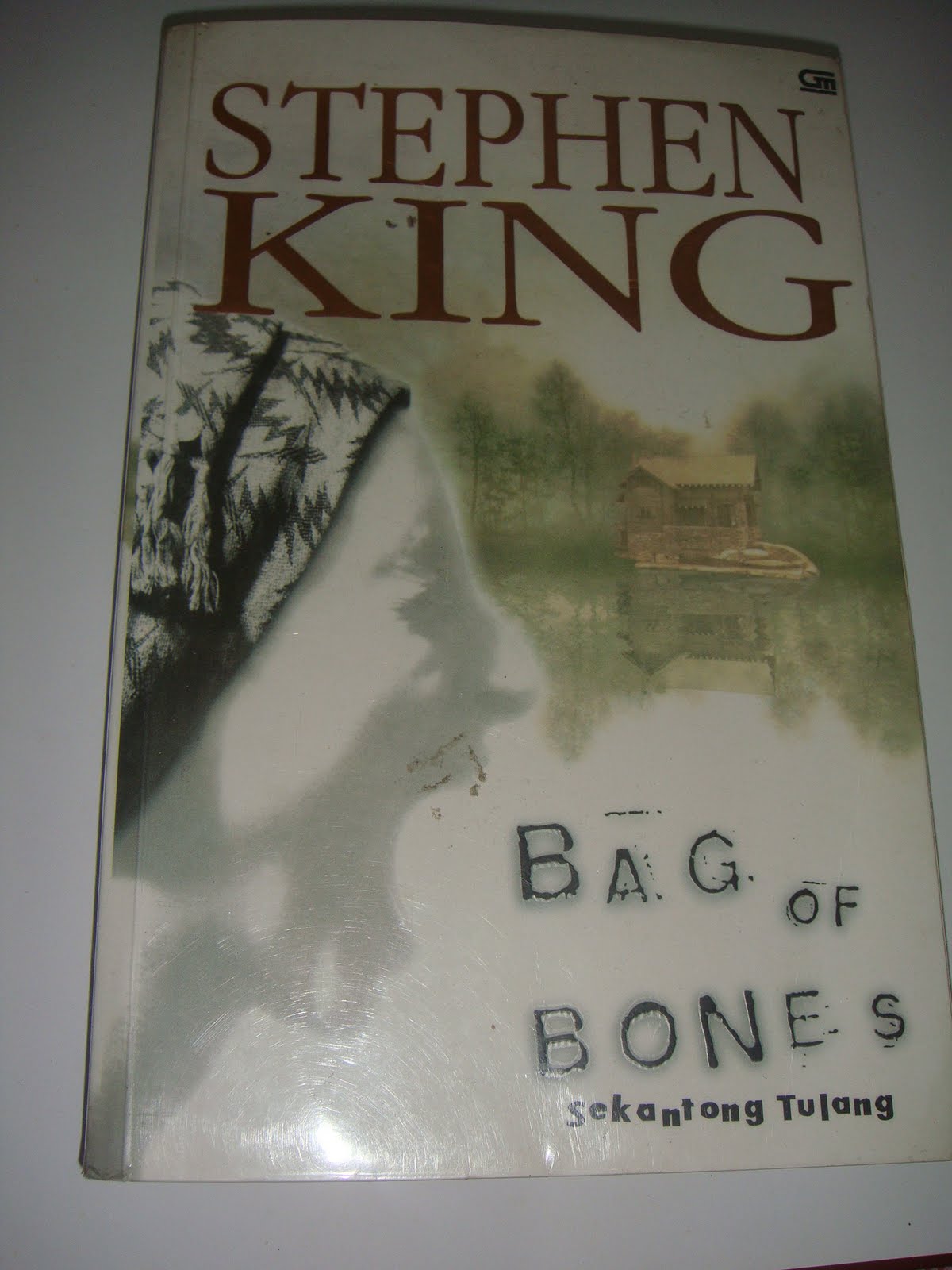 Bag of Bones Sekantung Tulang nya Stephen King  capcaibakar