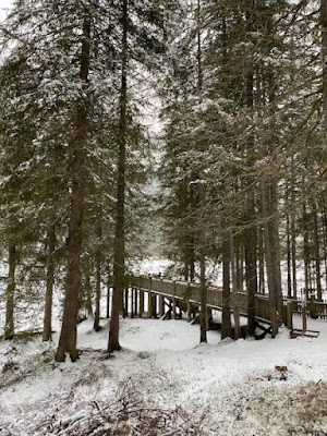 Lago di Dobbiaco: passeggiata sulla neve