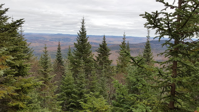 Point de vue à partir du sommet du mont Carcan