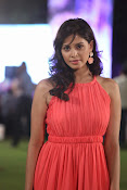 Supriya Shailaja Photos at Weekend Love event-thumbnail-36