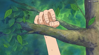 ワンピースアニメ 頂上戦争編 480話 | ONE PIECE Episode 480