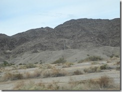DSCN2348