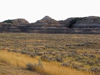 Fossil collecting site near Fort Peck, Montana