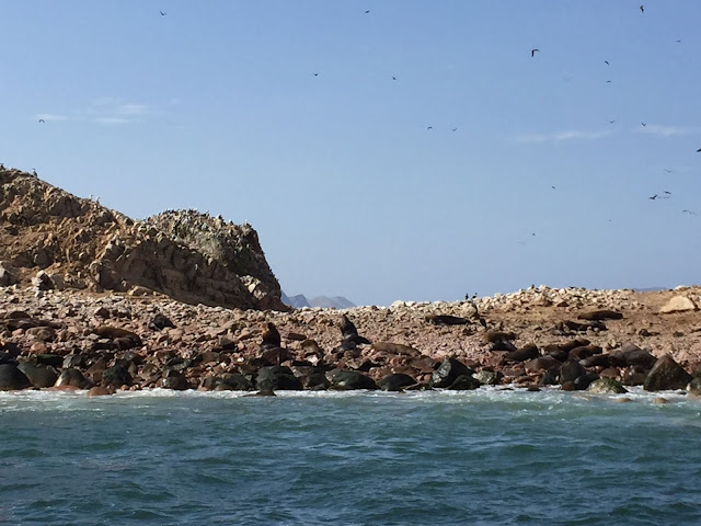 Islas Ballestas Paracas