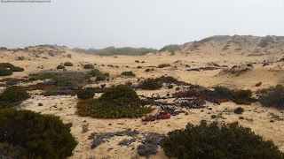 BEACH / Praia Foz dos Ouriços, Almograve, Portugal