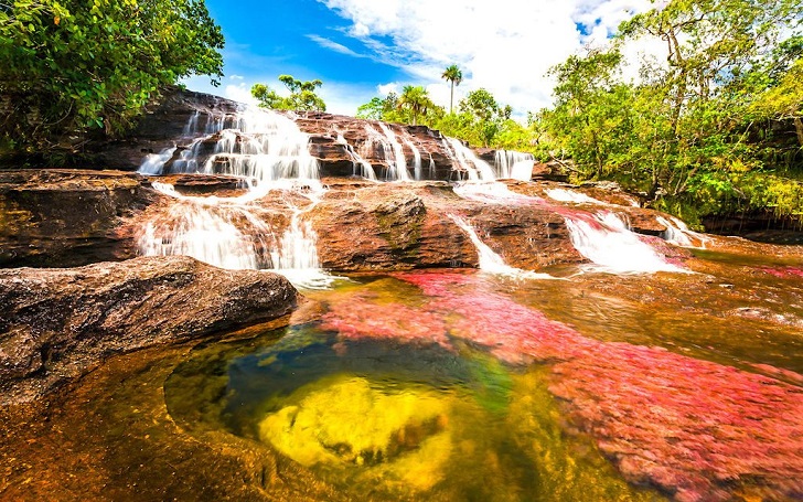 Cano Cristales, Sungai Indah dengan Lima Warna di Kolombia