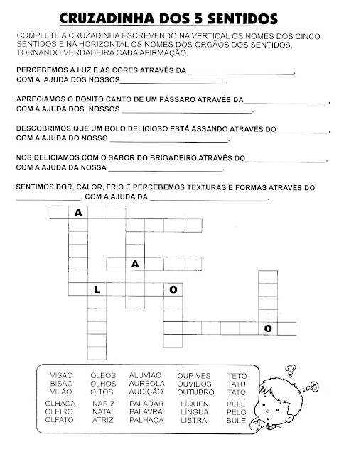 Atividades orgãos do sentido ensino fundamental