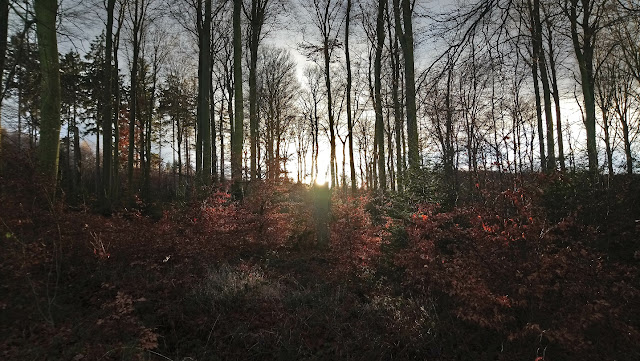 Sauerland wandern Wetter blog Arnsberg X13 Hanseweg