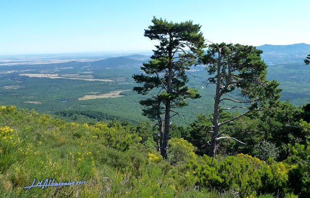 Camino El Cabaco – Nava – El Casarito – Peña de Francia