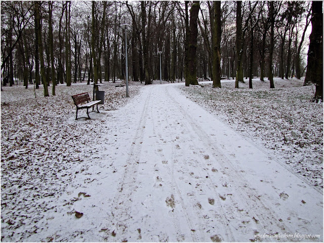 Park zimą