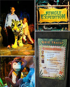Legoland Jungle Expedition