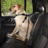 Dog Seat Belt Harness5