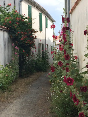 #LazySundayinFrance Fiona Valpy St Martin Ile de Ré French Village Diaries