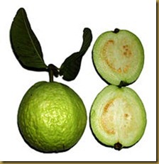 goiaba