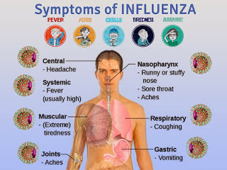 flu symptoms 2014