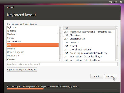 ubuntu 10.10 bojalinuxer