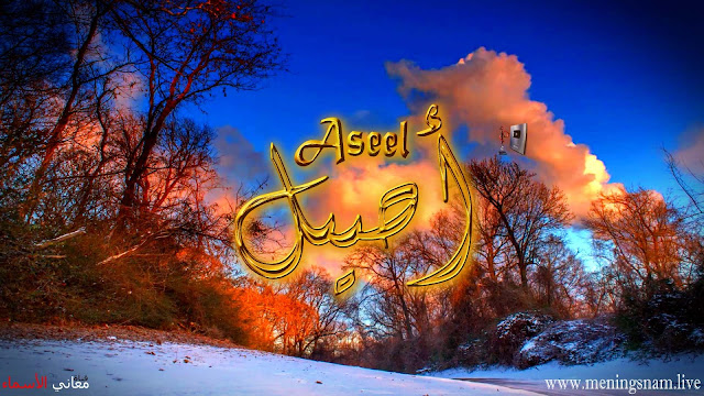 معنى اسم اصيل وصفات حامل و حاملة هذا الاسم Aseel