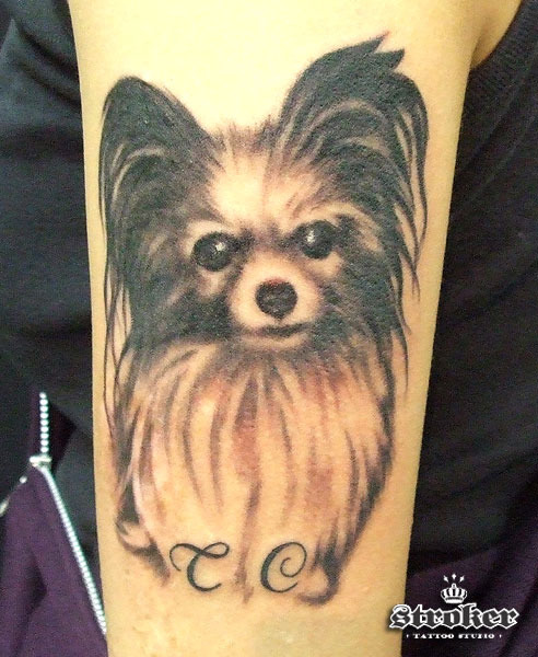 There are a lot of great cat tattoos out there, but this one is a puppy 