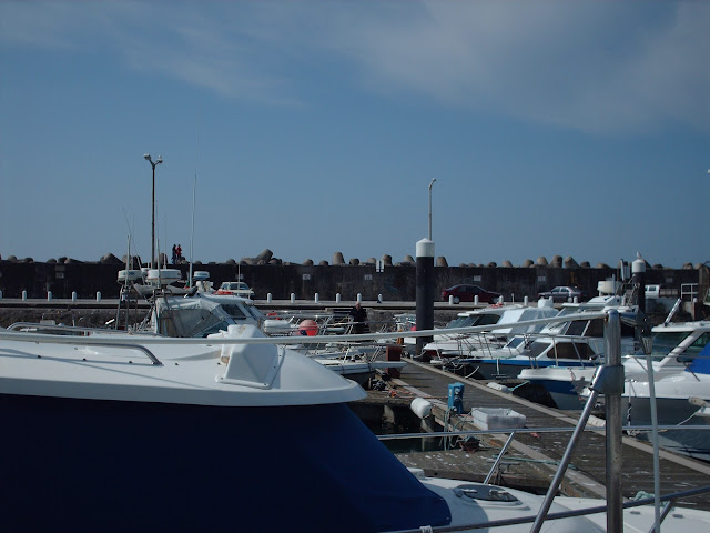 pier tetrapods