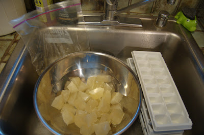 My set up for making chicken stock cubes in the kitchen sink