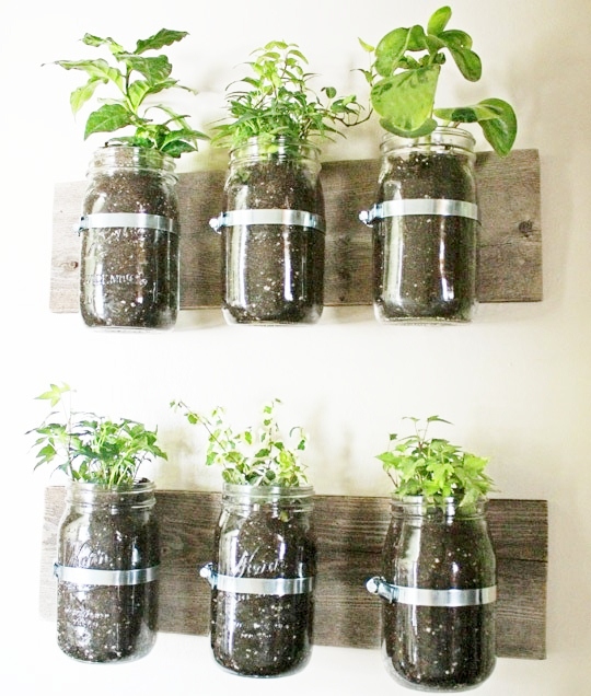 Live, Life, Love and Laughter: Making a herb garden