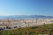 on most Southern California beaches (img )