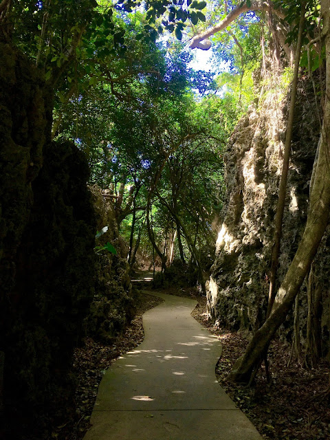 Kenting National Forest Recreation Area 墾丁國家森林遊樂區, pingtung, taiwan