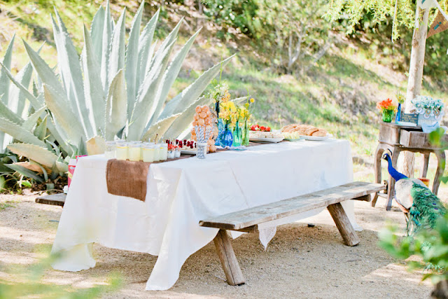 rustic ranch baby shower