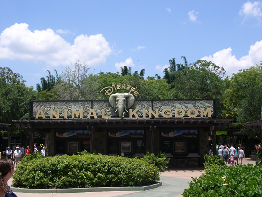 Animal Kingdom