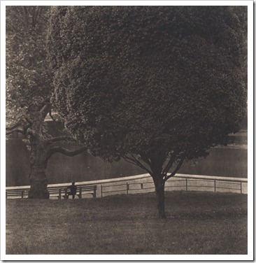 central park #21