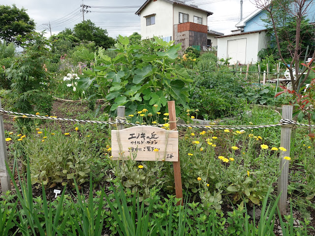 鳥取県米子市淀江町小波　ワイルドガーデン　エノキの丘