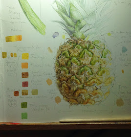 Pineapple study page