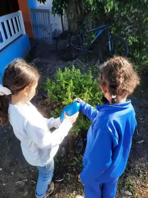 Alunos da Escola Meu Recanto, na Ilha, contam com o programa Hortas na alfabetização