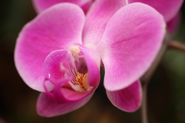 kew-garden-2011-6