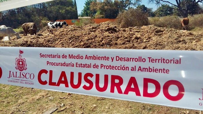 Estados/// PROEPA emite 295 ultas por dañoambientales en Jalisco