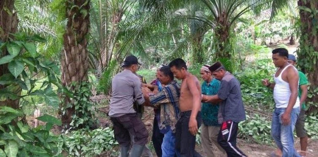 Warga Peunaron Aceh Timur Diserang Buaya 