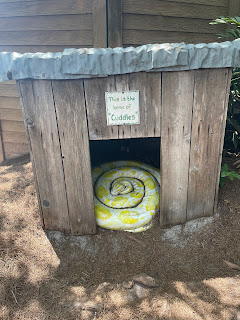 One of the fun theming features and photo opportunities at Gator land Florida is fake yellow snake named Cuddles in  structure similar to a dog house