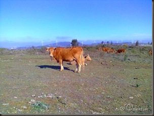 26022012047