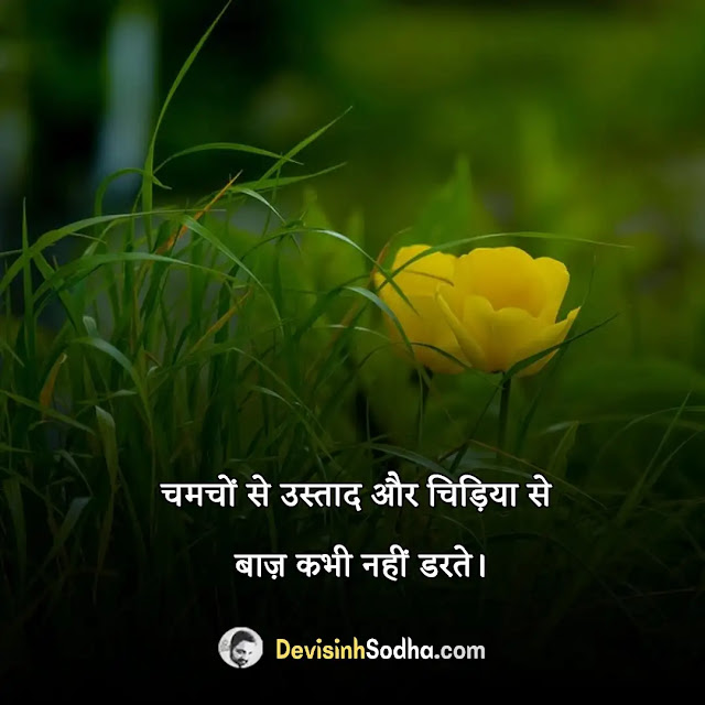 one line quotes in hindi, one line status on life in hindi, one line attitude status in hindi, 1 line whatsapp about lines in hindi, 1 लाइन स्टेटस इन हिंदी motivational, one line quotes in hindi on life, one line quotes in hindi attitude, one line quotes in hindi for instagram, one line quotes in hindi for students, one line quotes in hindi for girl