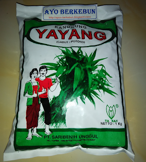 cara tanam kangkung