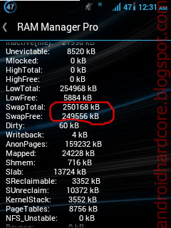 DOWNLOAD RAM MANAGER PRO