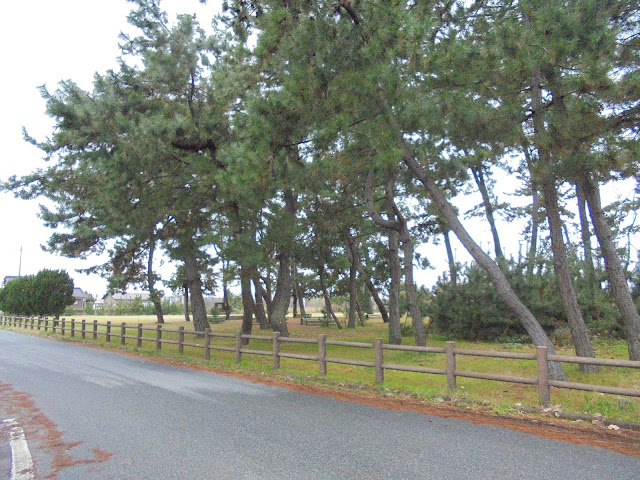 海浜運動公園キャンプ場