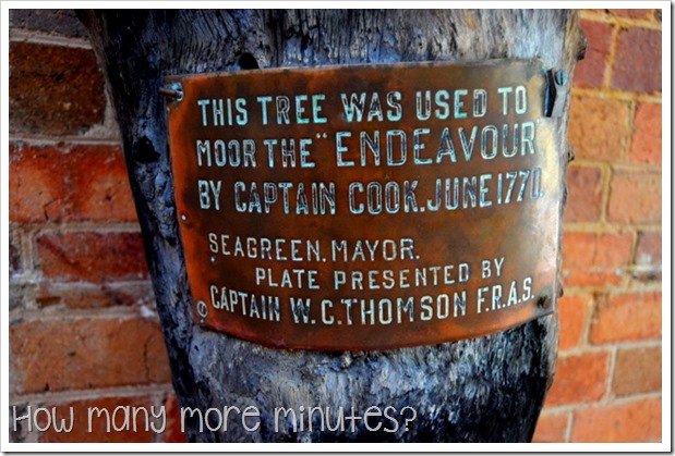 How Many More Minutes | James Cook Museum in Cooktown, QLD