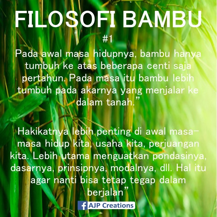 Kata-Kata Bijak Folosofi Bambu  AJP Creations