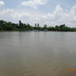 View album